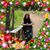Kathy McMaster Wolfenberger Carenza's profile image