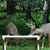 Susan Bankert's profile image