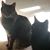 Tina Hickerson's profile image