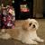Carol J. Bawer's profile image