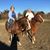 Terri Goldman's profile image