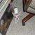 Verna P. Landry's profile image