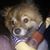 Sherrie Raider's profile image