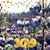 Teresa Banks Swaringen's profile image