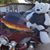 Alan Tocker's profile image