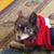 Ken Kipp's profile image