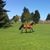 Lori Bailey-Lambie's profile image