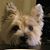 Paula Luparat Phillips's profile image