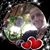 Amanda Hopkins's profile image