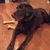 Lori Phoebus's profile image