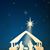 Lynda Newbery Krapohl's profile image