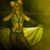 Sarah L Miller's profile image