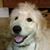 David Adam Brooks's profile image