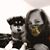 Tara Habib's profile image