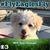 Libby Hertkorn's profile image