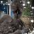 Kelley Channer Ayers's profile image