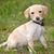 Mary Ann Burns Zygmonski's profile image