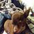 Bella Marie Maddox's profile image
