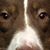 Chris Karnuth's profile image