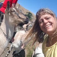 Brenda Dunham Wildes's profile image