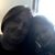 Jodi Funderburgh's profile image