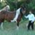 Penny Lee Slagle's profile image