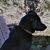 Andrea Stile's profile image