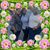 Michelle Holliday's profile image