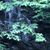 Jenny Farida Elnemer's profile image