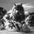 Rich Bailey's profile image