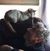 Michael Chirichella's profile image