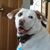 Sandy Erickson's profile image