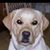 Donna Rebhun's profile image