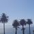 Lori Millard's profile image