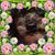 Nancy Ferrell's profile image