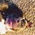 Jessica Burson's profile image