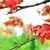 Celeste Day's profile image