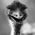 Ben Peppard's profile image