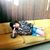 Lyndsay Siegel's profile image