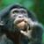 Mark Thompson's profile image