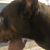 Linda Grace's profile image