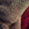 Al T.'s profile image