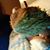 Candy Terry's profile image