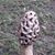 Mark Kelley's profile image