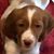 Ocia Orthman's profile image