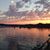 Susan Strawn's profile image