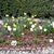 Christina Newbould's profile image