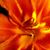 Rubye Sunderland's profile image