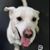 Yanira Vasquez - Reddy's profile image