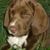David Baker's profile image